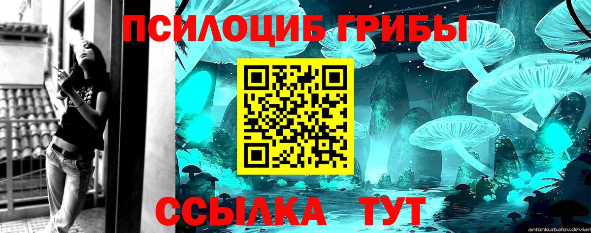Псилоцибиновые грибы прущие грибы  Вход с VPN  Псилоцибиновые грибы Cubensis  продажа наркотиков  Карабулак 